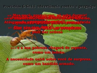 Provérbios  6:6a11 advertência contra a preguiça 6:6- Preguiçoso, observa bem as formigas e aprenda uma profunda lição com elas. 6:7-  Elas não têm reis ou governadores  para dar ordens 6:8-   e no entanto, trabalham durante o verão, ajuntando comida para o inverno. 6:9-  Mas você, preguiçoso, só sabe dormir! Até quando você pretende ficar nessa  “vida boa?” 6:10-  “ Ah, deixe-me descansar só um pouquinho mais!” Sim, descanse mais um pouquinho 6:11-  e a sua pobreza chegará de repente, como um ladrão. A necessidade cairá sobre você de surpresa, como um bandido armado. 