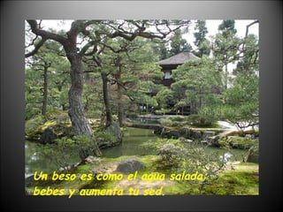 Un beso es como el agua salada: bebes y aumenta tu sed. 
