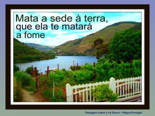 Paisagem sobre o rio Douro – Régua-Portugal
 