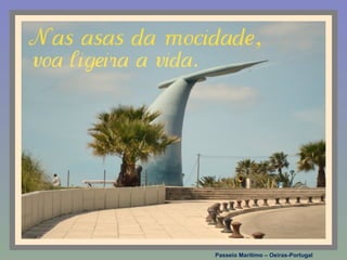 Passeio Marítimo – Oeiras-Portugal
 
