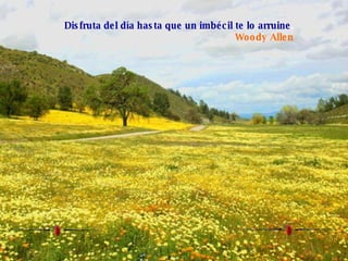 Disfruta del día hasta que un imbécil te lo arruine .  Woody Allen   