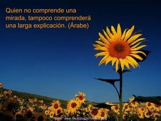 Quien no comprende una
mirada, tampoco comprenderá
una larga explicación. (Árabe)
Visita: www.RenuevoDePlenitud.com
 