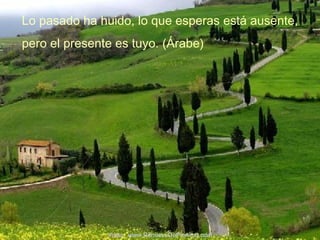 Lo pasado ha huido, lo que esperas está ausente,
pero el presente es tuyo. (Árabe)
Visita: www.RenuevoDePlenitud.com
 