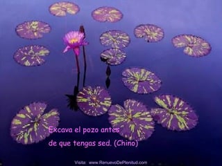 Excava el pozo antes
de que tengas sed. (Chino)
Visita: www.RenuevoDePlenitud.com
 