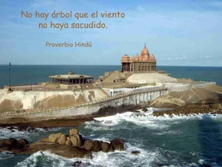 No hay árbol que el viento
no haya sacudido.
Proverbio Hindú
 