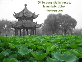 Si te caes siete veces,
levántate ocho.
Proverbio Chino
 