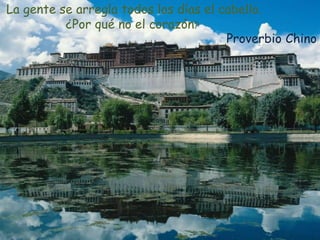 La gente se arregla todos los días el cabello.
¿Por qué no el corazón?
Proverbio Chino
 