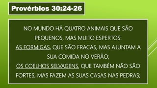 NO MUNDO HÁ QUATRO ANIMAIS QUE SÃO
PEQUENOS, MAS MUITO ESPERTOS:
AS FORMIGAS, QUE SÃO FRACAS, MAS AJUNTAM A
SUA COMIDA NO VERÃO;
OS COELHOS SELVAGENS, QUE TAMBÉM NÃO SÃO
FORTES, MAS FAZEM AS SUAS CASAS NAS PEDRAS;
Provérbios 30:24-26
 