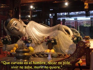 "Que curioso es el hombre, nacer no pide,  vivir no sabe, morir no quiere." 