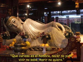 "Que curioso es el hombre, nacer no pide, vivir no sabe, morir no quiere."