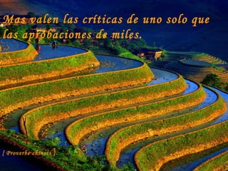 Mas valen las críticas de uno solo que las aprobaciones de miles. [ Proverbe chinois ] 