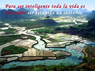 Para ser inteligente toda la vida es necesario  ser estúpido un instante.   [ Proverbe chinois ]   