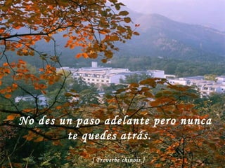 No des un paso adelante pero nunca te quedes atrás.   [ Proverbe chinois ]   