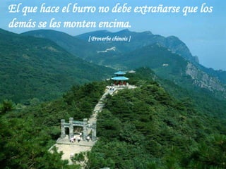 El que hace el burro no debe extrañarse que los
demás se les monten encima.
                  [ Proverbe chinois ]
 