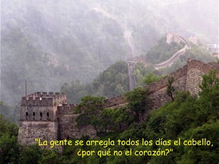 "La gente se arregla todos los días el cabello,
¿por qué no el corazón?"
 