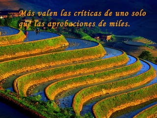 Más valen las críticas de uno solo que las aprobaciones de miles.