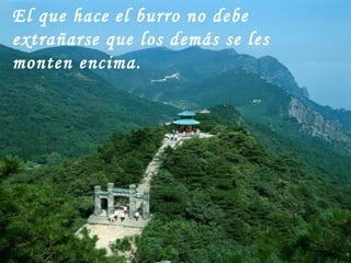 El que hace el burro no debe extrañarse que los demás se les monten encima.