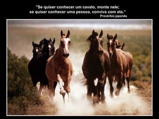 "Se quiser conhecer um cavalo, monte nele;
se quiser conhecer uma pessoa, conviva com ela.“
Provérbio japonês
 