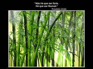 “Não há que ser forte.
Há que ser flexível.”
Provérbio chinês
 