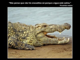 "Não pense que não há crocodilos só porque a água está calma."
Provérbio malaio
 