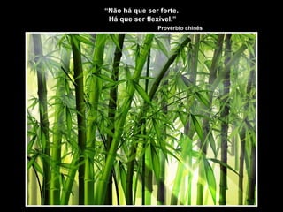 “Não há que ser forte.
Há que ser flexível.”
Provérbio chinês
 