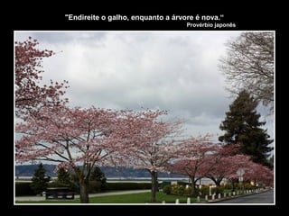 "Endireite o galho, enquanto a árvore é nova.“
Provérbio japonês
 