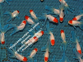 "Tropeçam
os sem
pre
nas pedras
pequenas,
as grandes logo
enxergam
os."
--Provérbio
Japonês
 