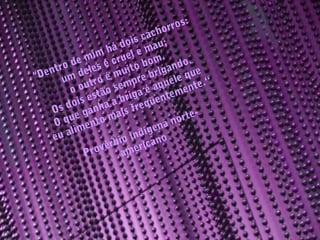"Dentro de mim há dois cachorros:
um deles é cruel e mau;
o outro é muito bom.
Os dois estão sempre brigando.
O que ganha a briga é aquele que
eu alimento mais freqüentemente.“
Provérbio indígena norte-
americano
 