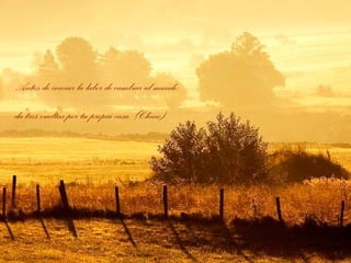 Antes de iniciar la labor de cambiar al mundo,
da tres vueltas por tu propia casa. (Chino)