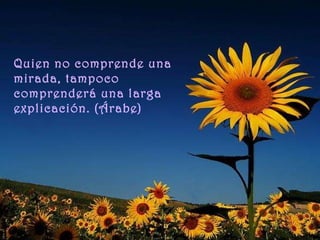Quien no comprende una mirada, tampoco comprenderá una larga explicación. (Árabe) 