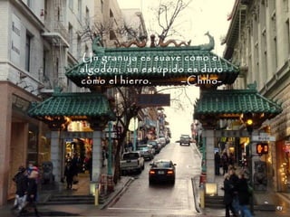 Un granuja es suave como el
algodón; un estúpido es duro
como el hierro.     –Chino-
 