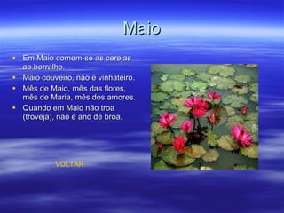 Maio Em Maio comem-se as cerejas ao borralho. Maio couveiro, não é vinhateiro. Mês de Maio, mês das flores, mês de Maria, mês dos amores. Quando em Maio não troa (troveja), não é ano de broa. VOLTAR 