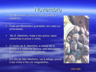 Novembro Em Novembro, prova o vinho e planta o cebolinho. Tudo em Novembro guardado; em casa ou arrecadado.   No S. Martinho, mata o teu porco, assa castanhas e prova o vinho. O Verão de S. Martinho, a vareja de S. Simão e a cheia de Santos, são três coisas que nunca faltam nem faltarão.  Em dia de São Martinho, vai à adega, prova o teu vinho e faz um magustinho . VOLTAR 