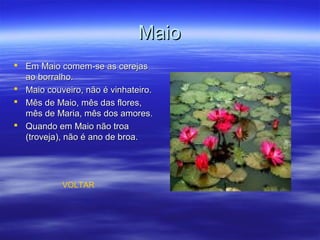 MaioMaio
 Em Maio comem-se as cerejasEm Maio comem-se as cerejas
ao borralho.ao borralho.
 Maio couveiro, não é vinhateiro.Maio couveiro, não é vinhateiro.
 Mês de Maio, mês das flores,Mês de Maio, mês das flores,
mês de Maria, mês dos amores.mês de Maria, mês dos amores.
 Quando em Maio não troaQuando em Maio não troa
(troveja), não é ano de broa.(troveja), não é ano de broa.
VOLTAR
 