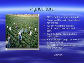 AgriculturaAgricultura
 Até S. Pedro o vinho tem medo.Até S. Pedro o vinho tem medo.
 Chuva de São João, tira vinho eChuva de São João, tira vinho e
não dá pão.não dá pão.
 Se em Novembro ouviresSe em Novembro ouvires
trovão, o ano que vem serátrovão, o ano que vem será
bom.bom.
 Maio hortelão, muita palha eMaio hortelão, muita palha e
pouco grão.pouco grão.
 P'lo S. Mateus, pega nos bois eP'lo S. Mateus, pega nos bois e
lavra com Deus.lavra com Deus.
 Pelos Santos trigo semeado,Pelos Santos trigo semeado,
fruto arrancado.fruto arrancado.
VOLTAR
 