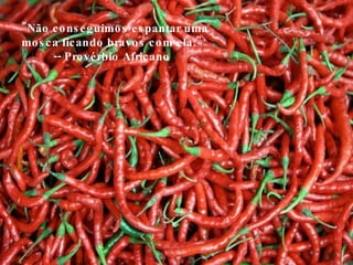 "Não conseguimos espantar uma mosca ficando bravos com ela."  -- Provérbio Africano  