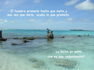 - El hombre promete hasta que mete,y
una vez que mete, acaba lo que promete.
- La leche en polvo,
¿no es una redundancia?
 