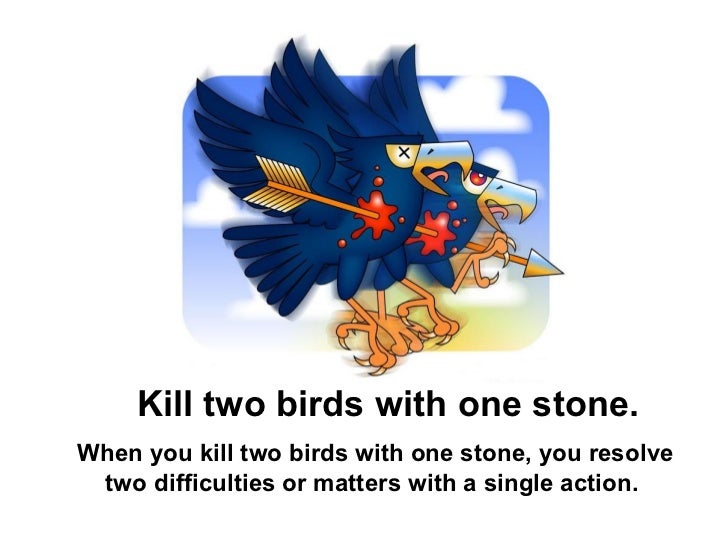 Two birds one stone. Kill two Birds with one Stone. Kill two Birds with one Stone idiom. To Kill two Birds with one Stone происхождение. Two Birds текст.