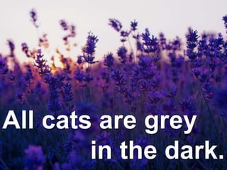 All cats are grey
in the dark.
 
