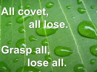 All covet,
all lose.
Grasp all,
lose all.
 