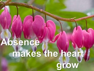 Absence
makes the heart
grow
 