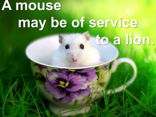 A mouse
may be of service
to a lion.
 