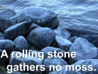 A rolling stone
gathers no moss.
 