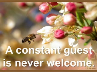 A constant guest
is never welcome.
 
