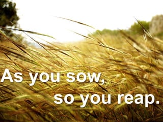 As you sow,
so you reap.
 