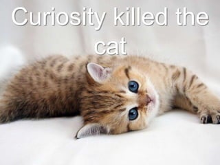 Curiosity killed the
cat
 