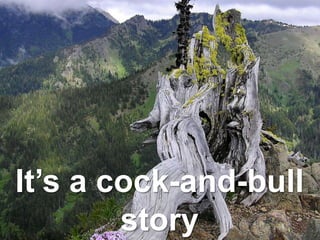 It’s a cock-and-bull
story
 