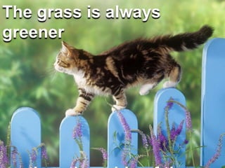 The grass is always
greener
 