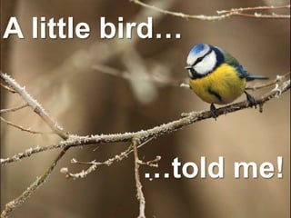A little bird…
…told me!
 