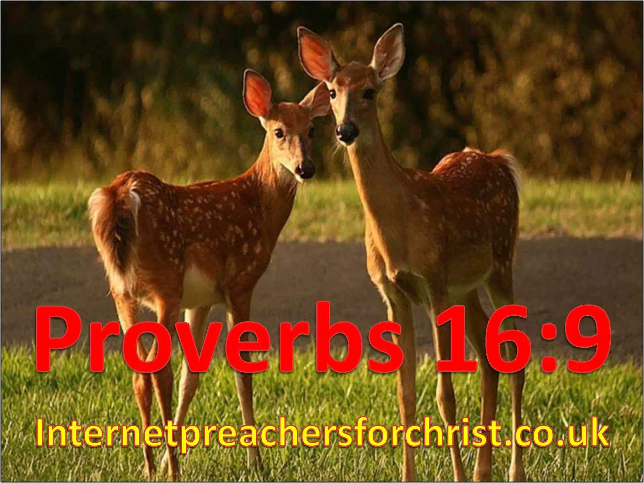 Proverbs 16:9Internetpreachersforchrist.co.uk